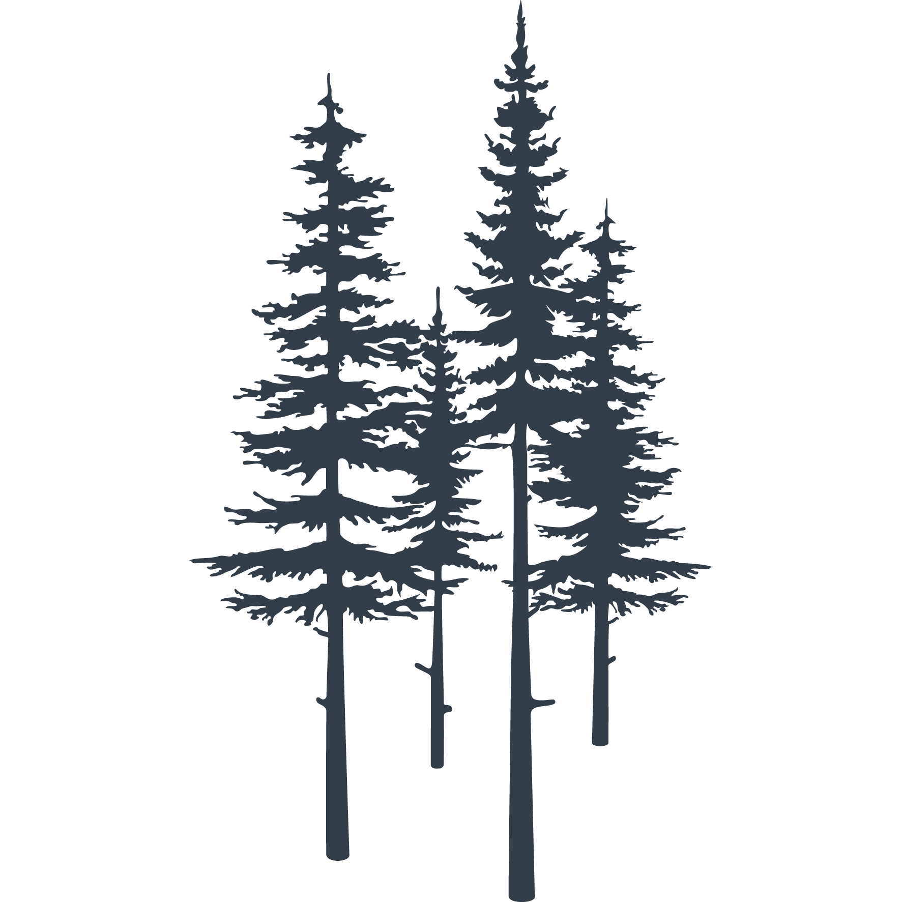 Grafica stilizzata di abeti alpini, simbolo dell'identità visiva di Alpenwood Pila in Valle d'Aosta.