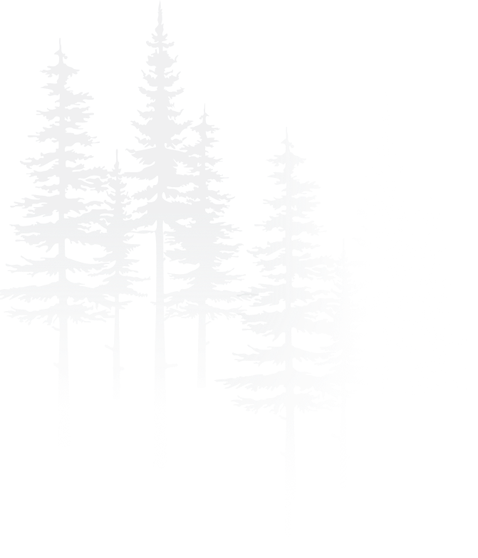 Grafica stilizzata di abeti alpini, simbolo dell'identità visiva di Alpenwood Pila in Valle d'Aosta.