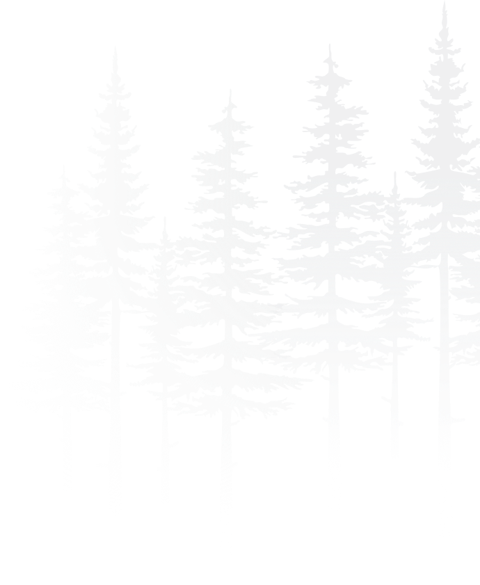 Grafica stilizzata di abeti alpini, simbolo dell'identità visiva di Alpenwood Pila in Valle d'Aosta.